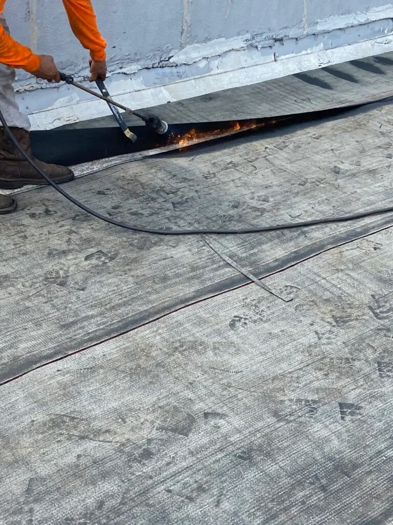 E74AF066-916C-4A12-B2E1-C2F83D1BD644